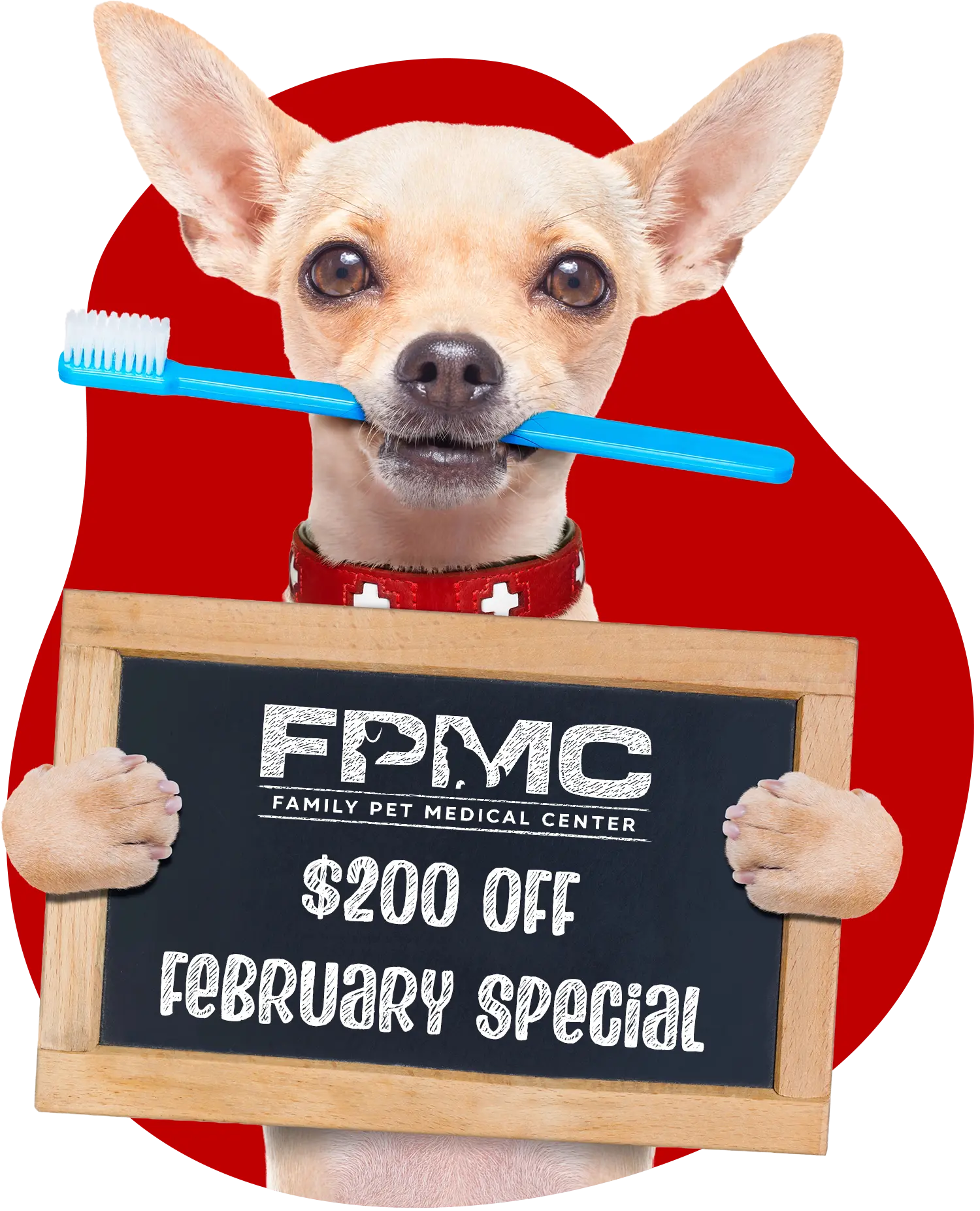 FPMC February Dental Promo
