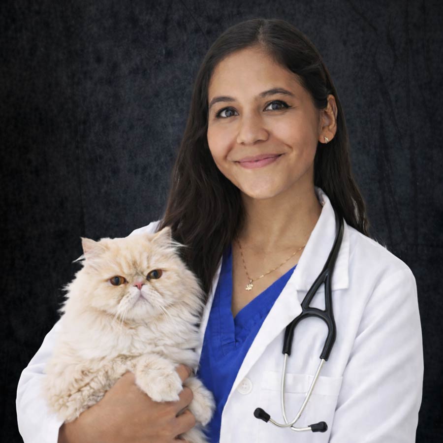 Dr. Gabriela Valdespino Fort Laduerdale