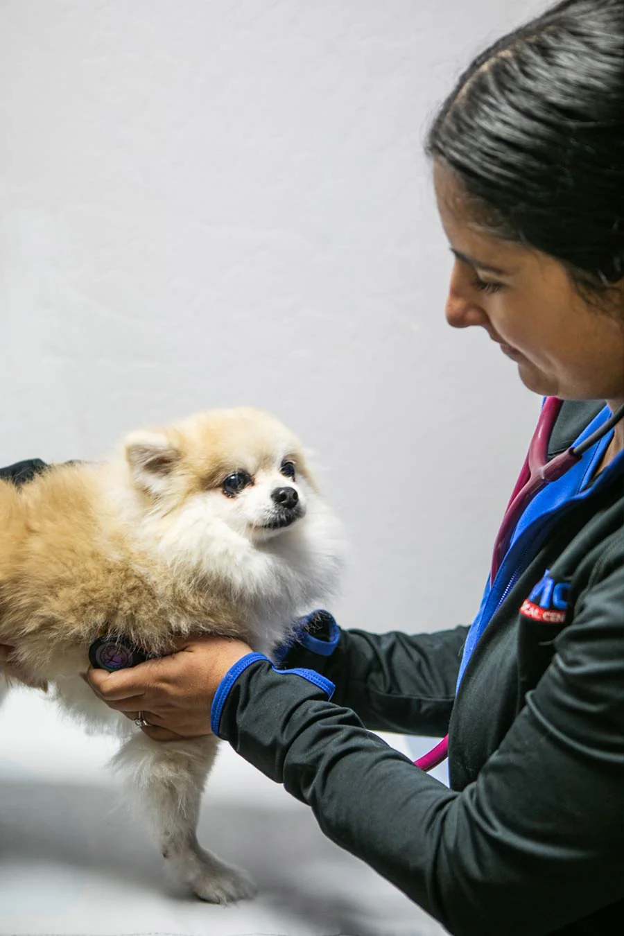 Urgent Care Veterinarian Primary Care Visit