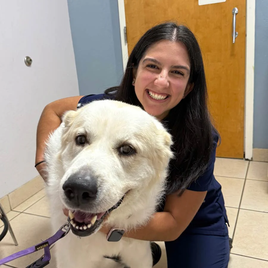 Why choose FPMC as your vet